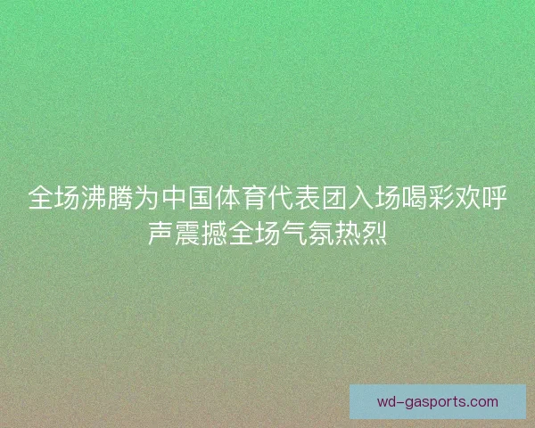 全场沸腾为中国体育代表团入场喝彩欢呼声震撼全场气氛热烈 全场沸腾为中国体育代表团入场喝彩欢呼声震撼全场气氛热烈