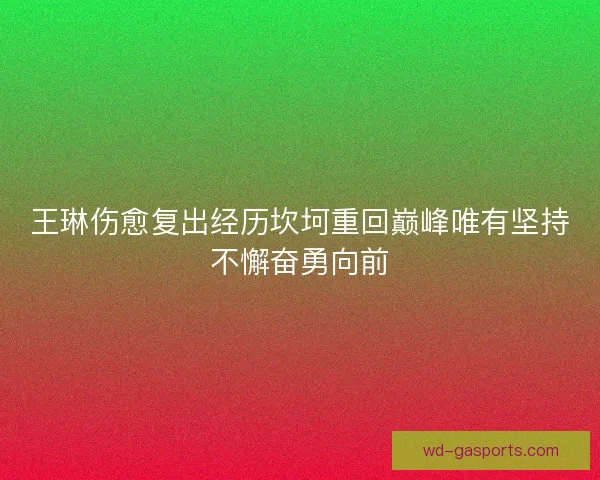 王琳伤愈复出经历坎坷重回巅峰唯有坚持不懈奋勇向前