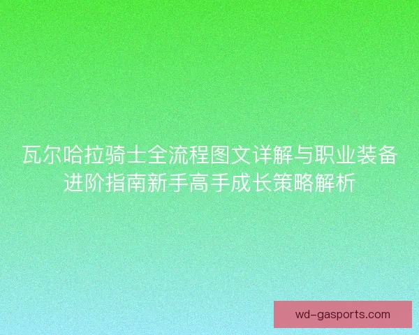 瓦尔哈拉骑士全流程图文详解与职业装备进阶指南新手高手成长策略解析